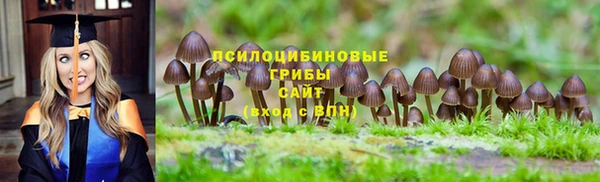 дурь Белокуриха