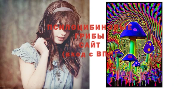 дурь Белокуриха