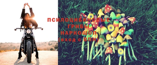 дурь Белокуриха