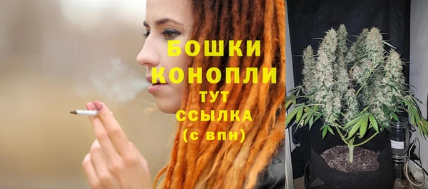 стаф Белоозёрский