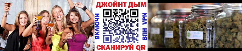 Конопля планчик  Кола 